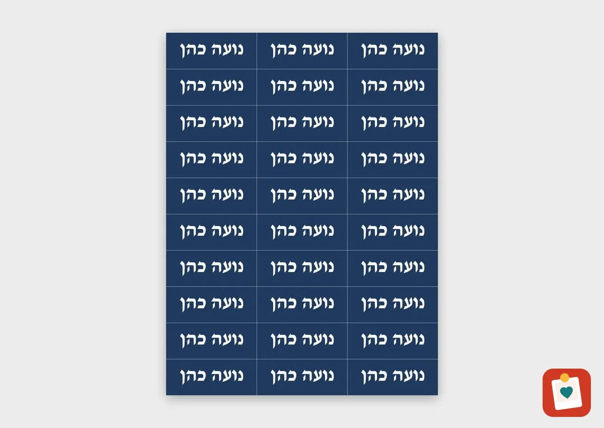 מדבקת שם עמידה למדיח לגן ולבית הספר